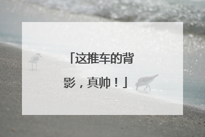 这推车的背影，真帅！